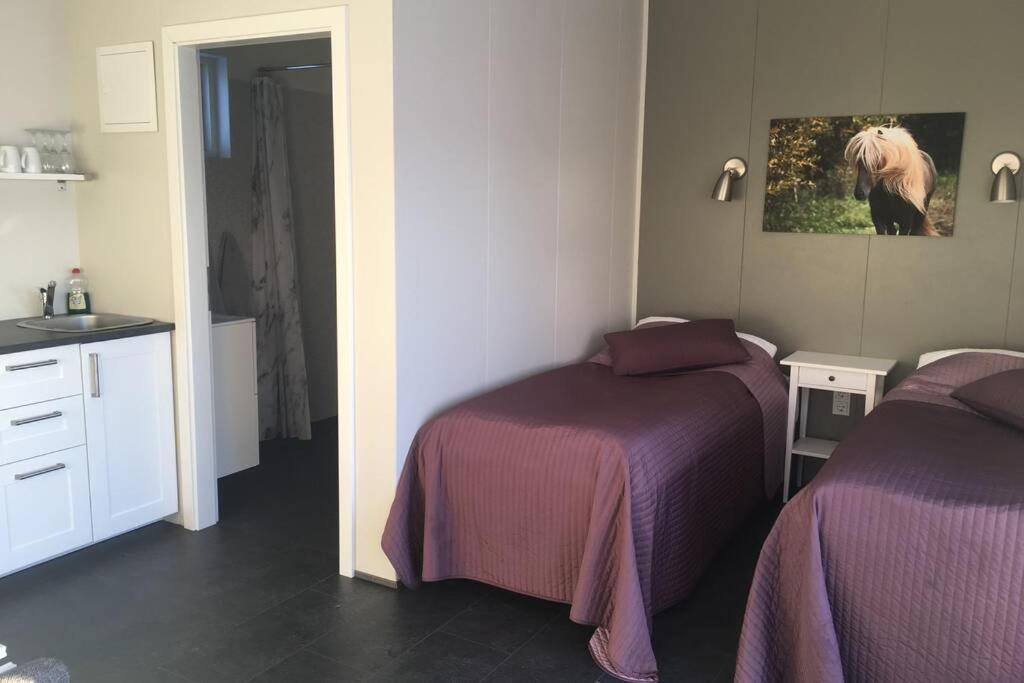 Stryta Apartment 3 Olfus Екстериор снимка