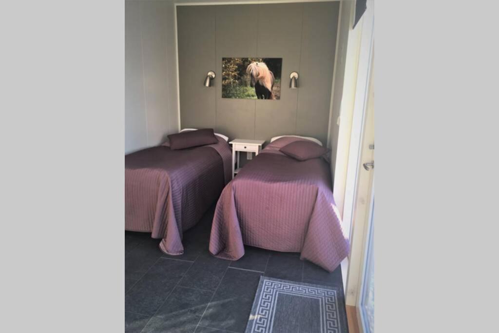 Stryta Apartment 3 Olfus Екстериор снимка